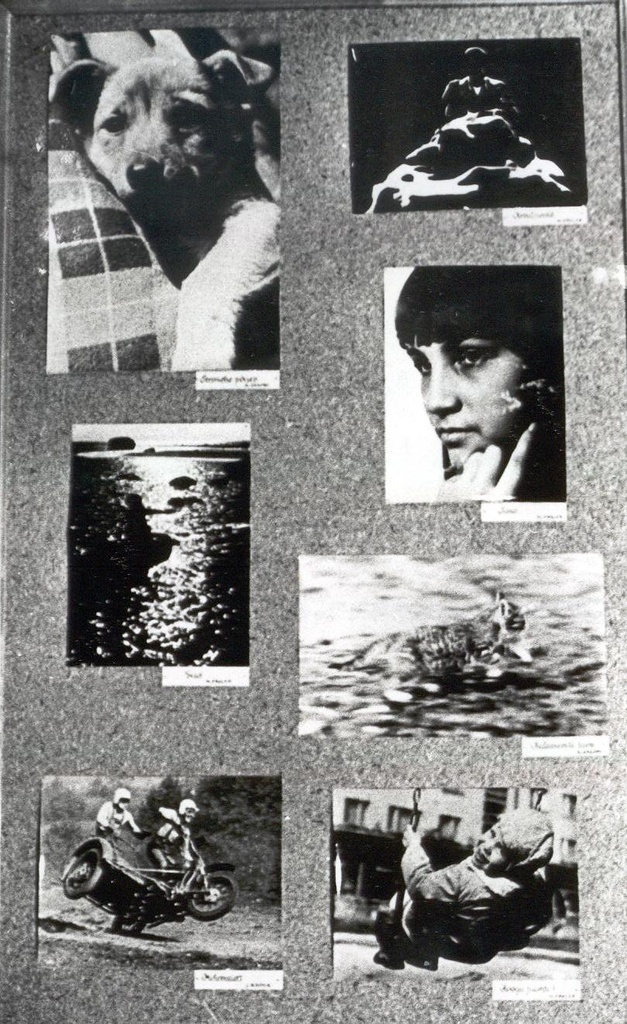 Foto. Võru Fotoklubi fotonäitus "Kandles", stend  nr. 3 seitseme fotoga.