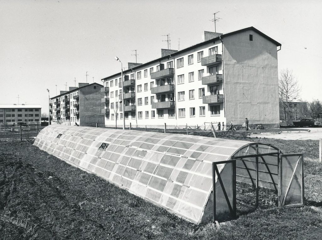 Foto. Väimela Näidissovhoostehnikumi elamud Põllu t. 4 ja 2, ehitatud 1970.a. ja 1969.a. Võru MEK-i poolt..