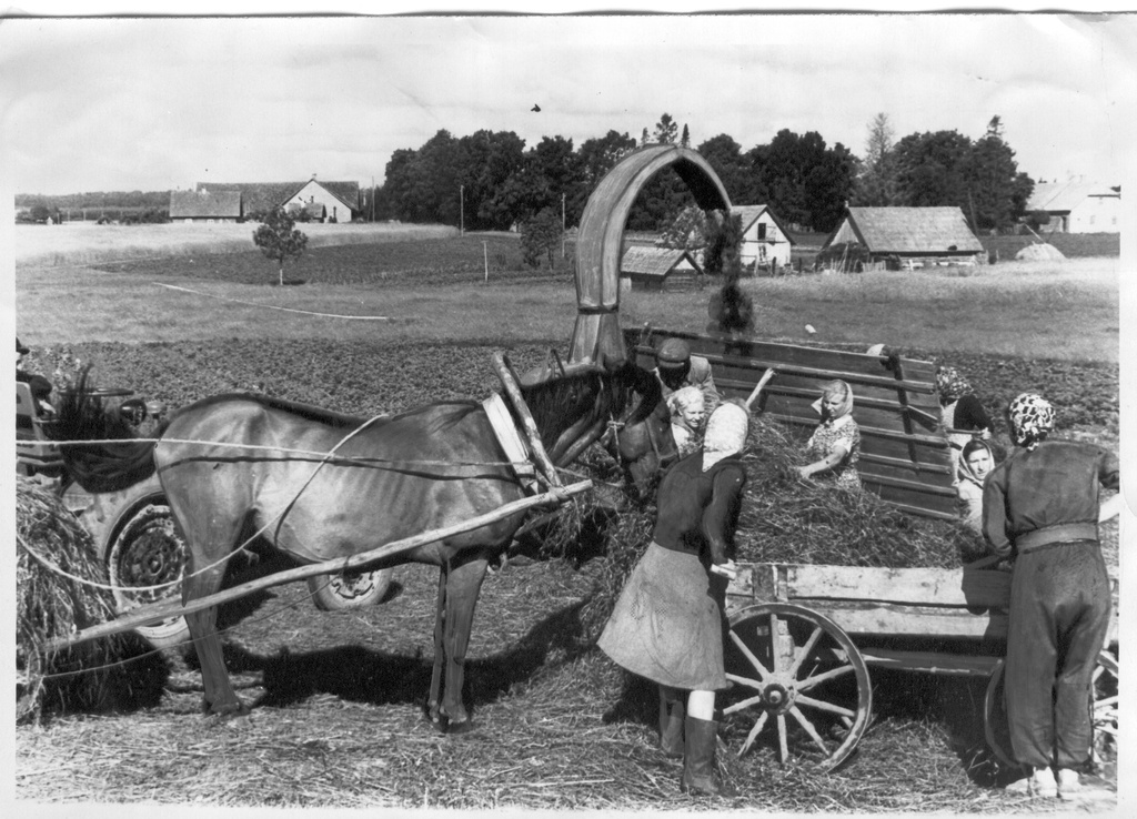 Foto. Räpina rajooni V. KIngissepa nim. kolhoosi 3. kompleksbrigaad valmistab silo 14.juulil 1956.a.