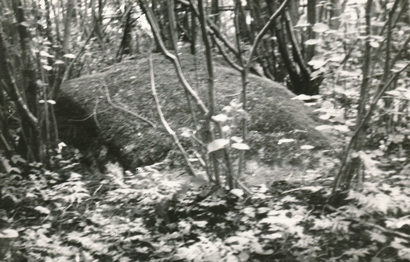 Kultusekivi Mõdrikus