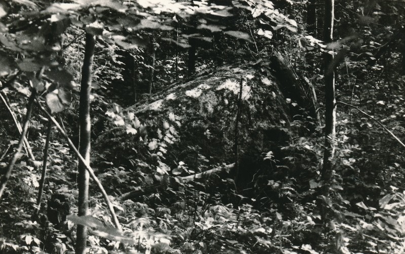 Kultusekivi Moe külas