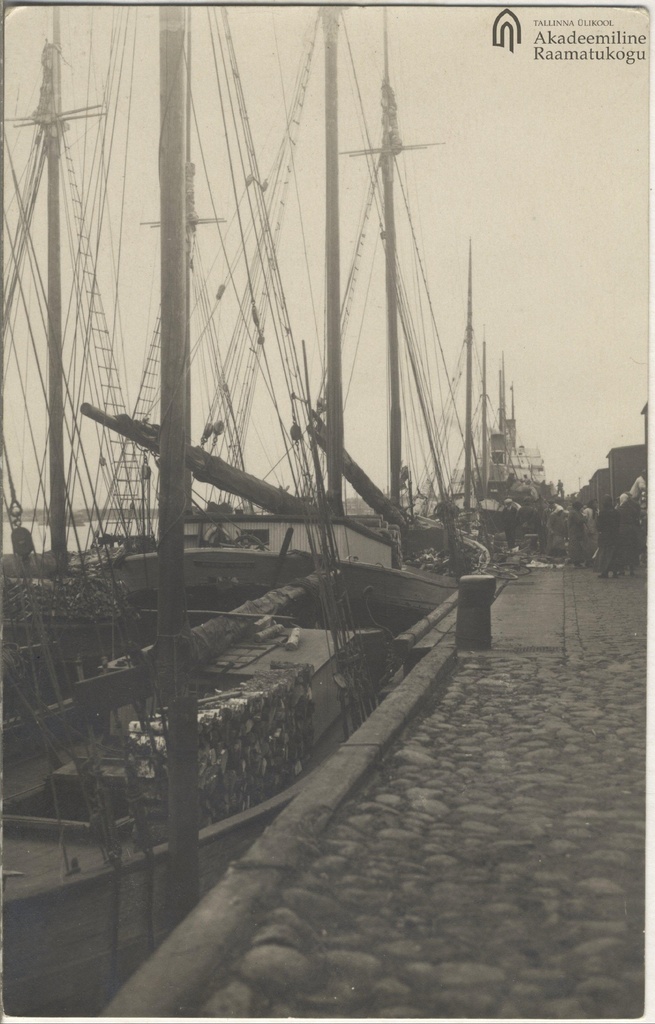 Sailing ships in Tallinn Old Harbour