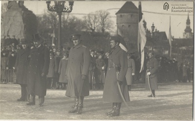 Tallinn. Paradise of the Anniversary of Estonian Independence 24.02.1920 in Tallinn Peetri Square.  duplicate photo