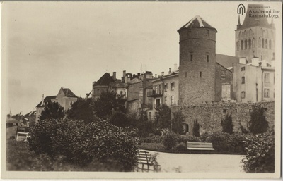 Tallinn. View from the mountain of the beach gate  duplicate photo