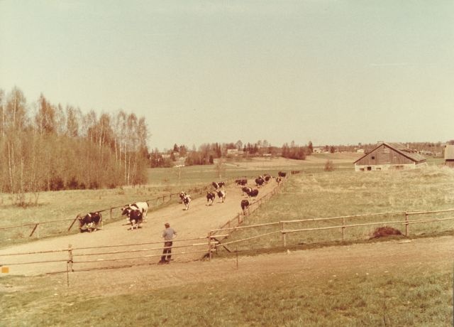 1989.a. kevadel karjalaskepäev