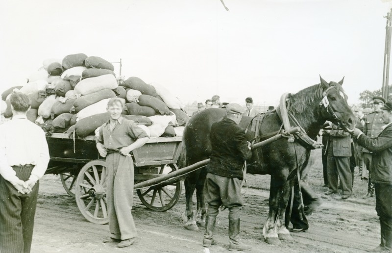 Tõutäkk UARDO 1359 TA, finisis koorma raskus 6309 kg, suhe 9,7. Omandas III koha ja määrati preemia 650 rubla. Sõitja Ubak, Johannes Jaani p.