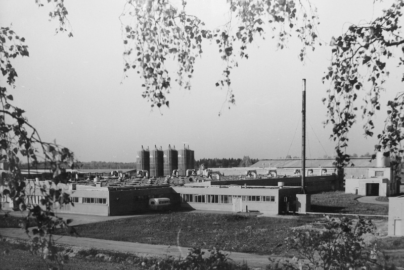 Leie kolhoosi 760 kohaga piimakarjafarm