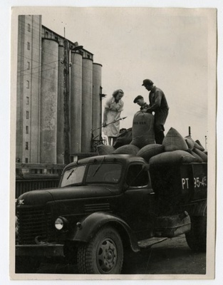 Yielding fruit to the state in the Tartu Elves  similar photo