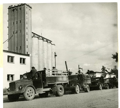 Yielding fruit to the state in the Tartu Elves  similar photo