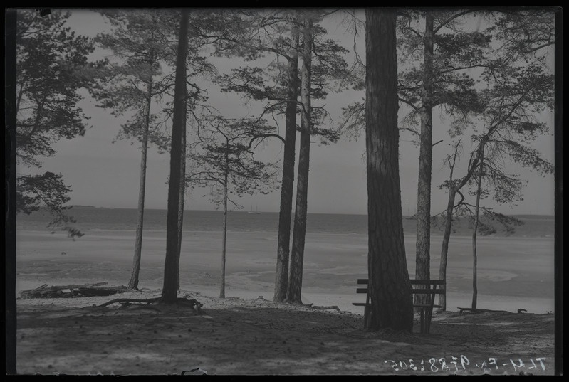 Võsu, vaade rannale.