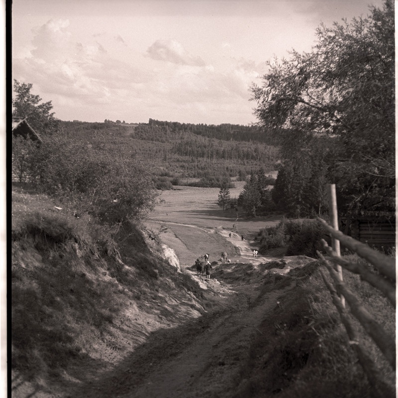 Setumaa, loodusvaade.