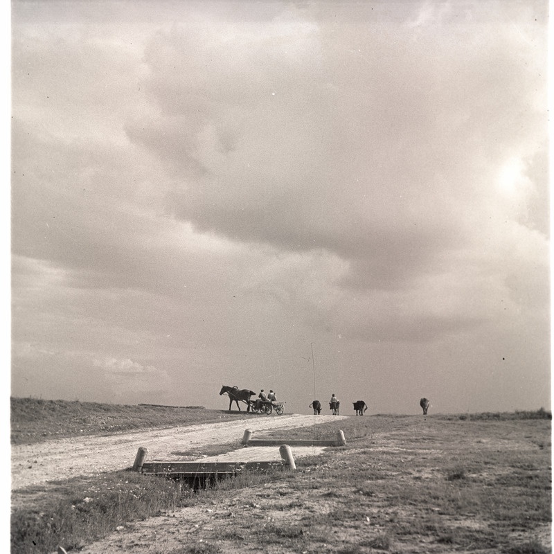 Setumaa, loodusvaade.