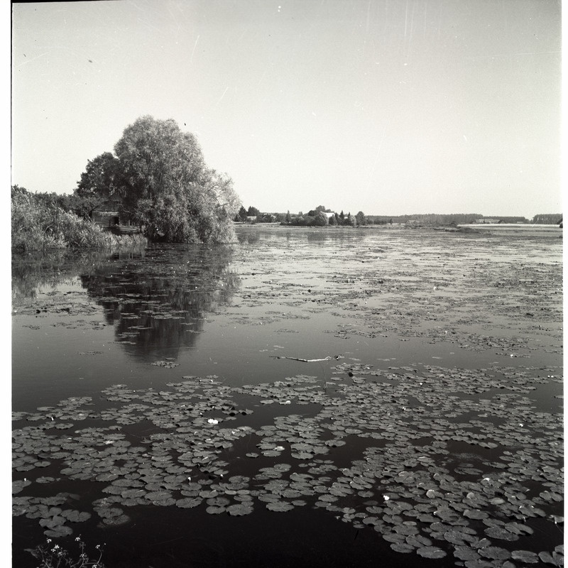 Räpina, vaade veekoguga.