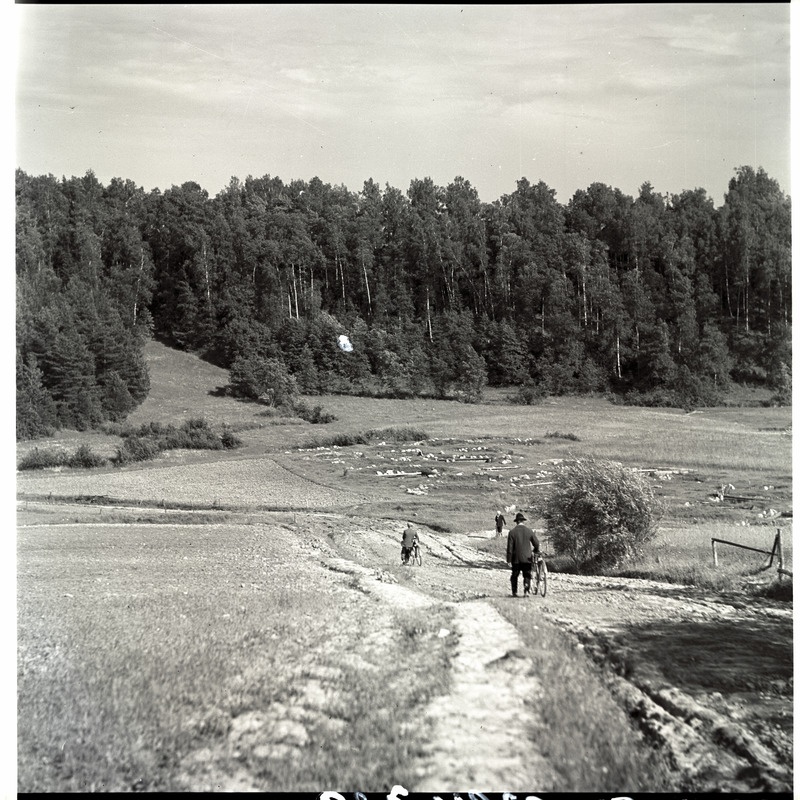 Obinitsa, loodusvaade.