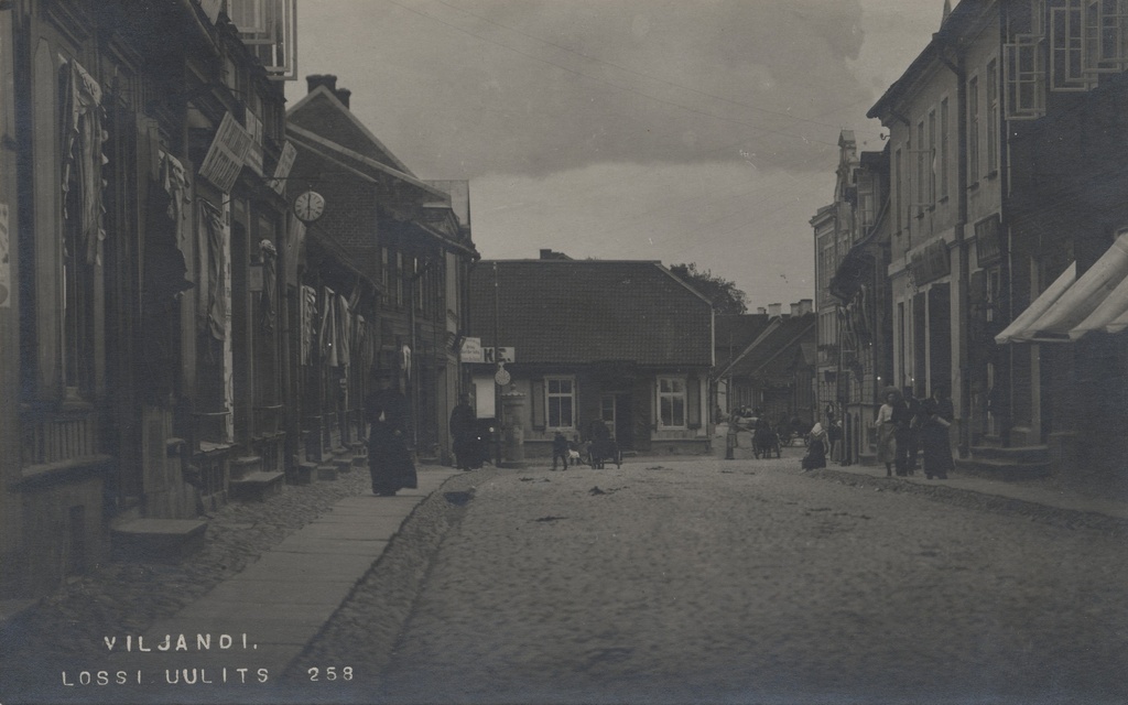 Viljandi Lossi owl