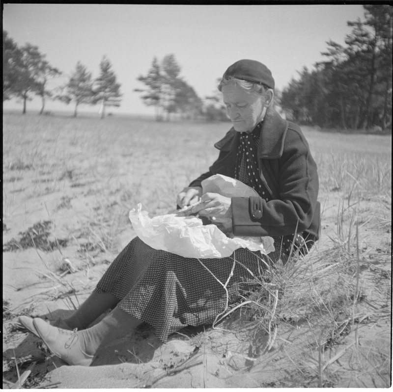 Portree Carl Sarapi emast