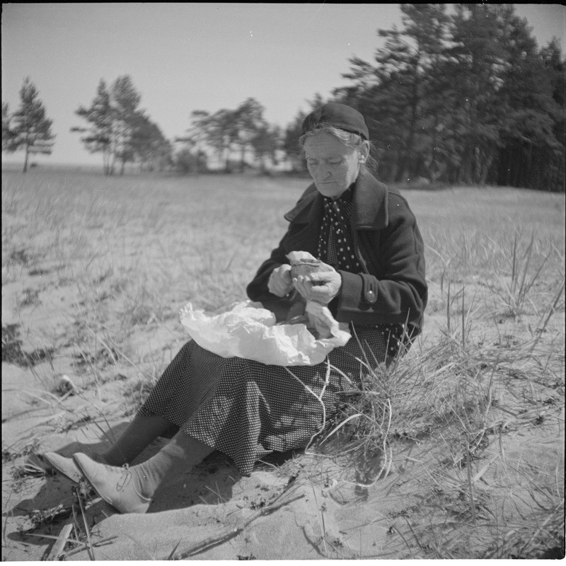 Portree Carl Sarapi emast