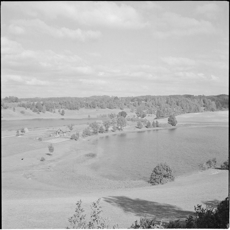 Rõuge Suurjärv