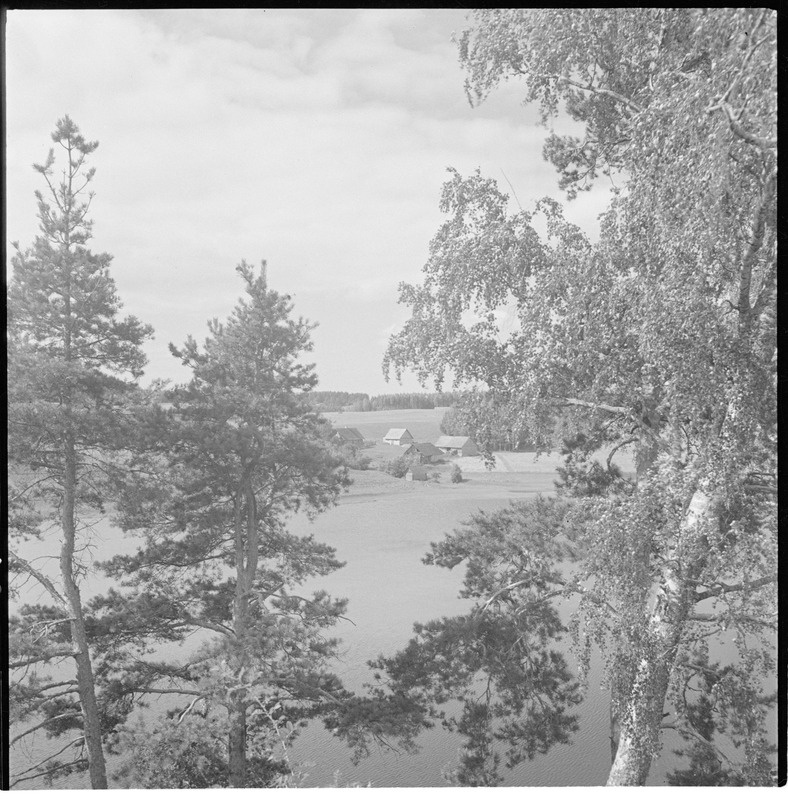 Haanjamaa maastik