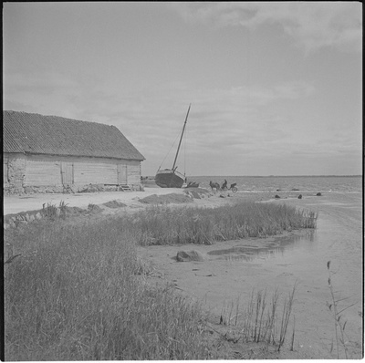 Haapsalu vana sadam  similar photo