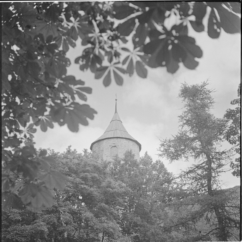 Haapsalu linnuse torn