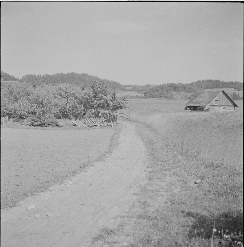 Talu Ilmjärves