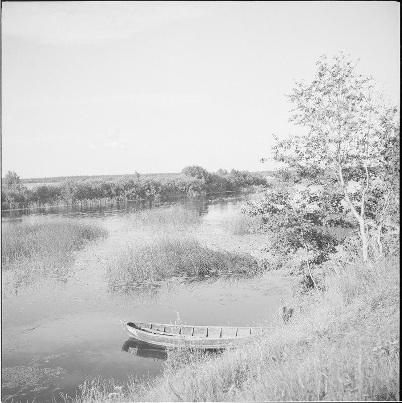 Vanaküla (Kauksi) järv