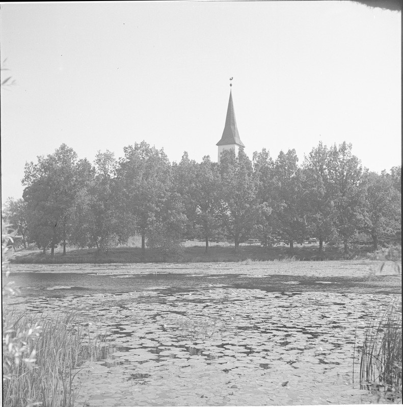 Suure-Jaani kirik