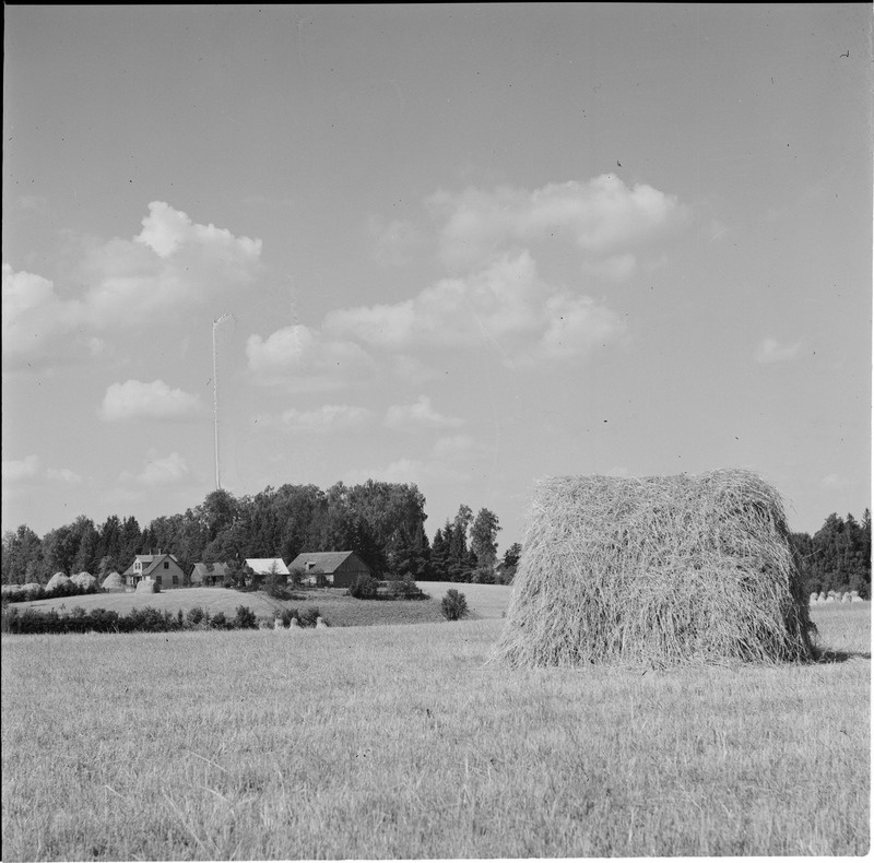 Talu Tarvastu kiriku lähedal