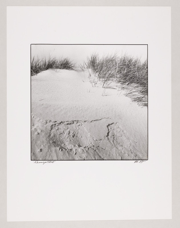 Tsüklist "Pärnu pildid" (Rannapildid)