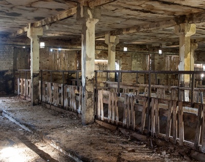 foto, Viljandimaa, Uusna sovhoos, karjalaut, sisevaade, 1949, foto A. Vanamõis rephoto