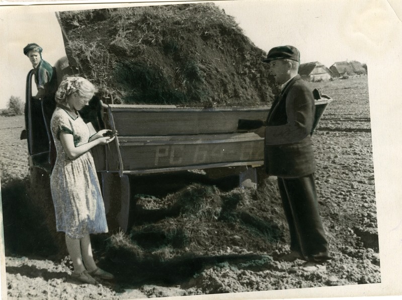 Maleva kolhoosi agronoom Palmi Mägi ja esimees Aleksander Hiiuväin arvestamas turbamulla mõju põlluviljakuse tõusule