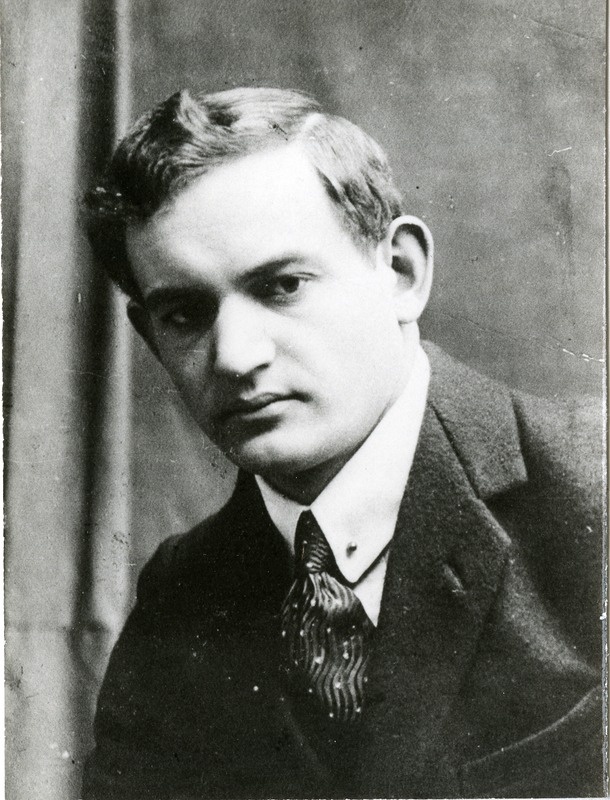 Johan Koel: rinnaportree.