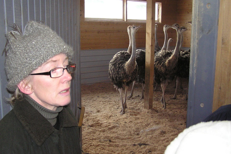 Helena Erik oma talus esimesel üleriigilisel jaanalinnupäeval