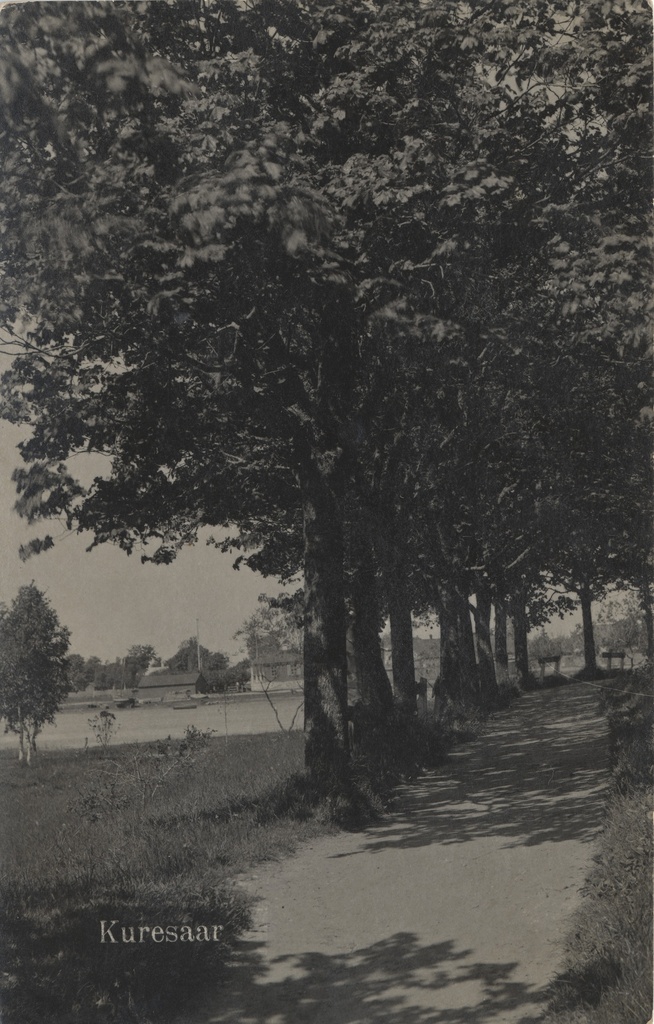 Kuresaar