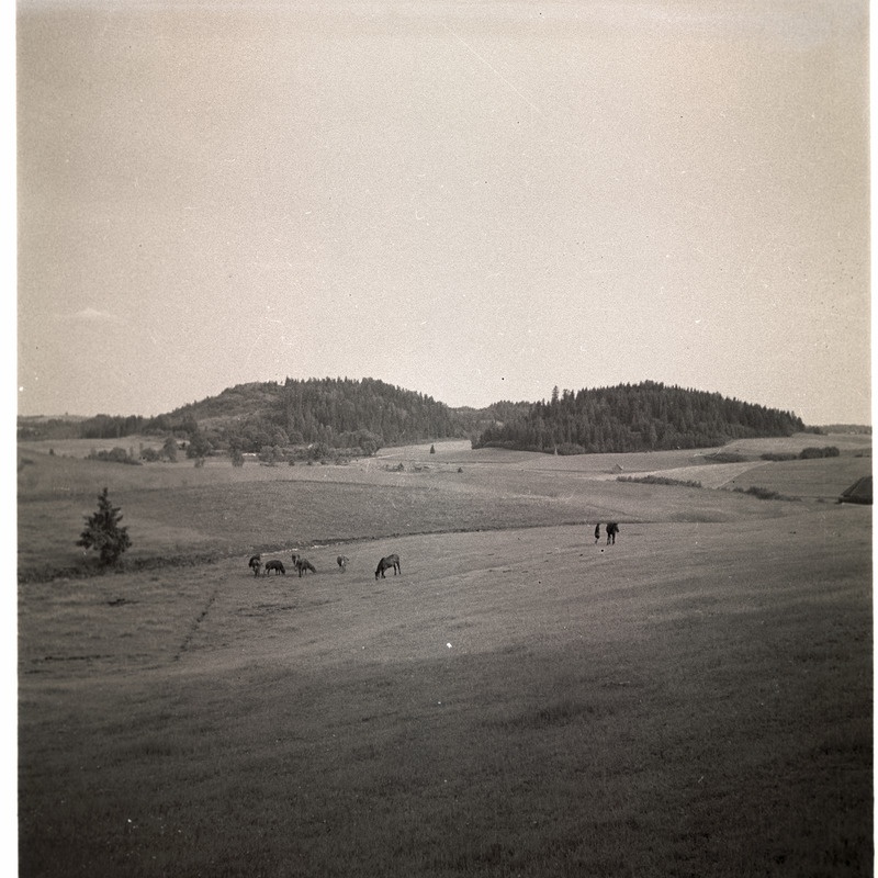 Otepää, vaade mäekuplitele.