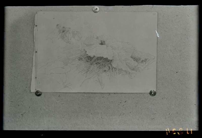 Eesti ja baltisaksa autorite teosed