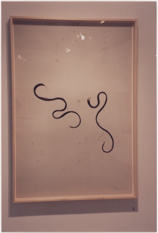 Miira Ojaneni fotonäitus "Lood"