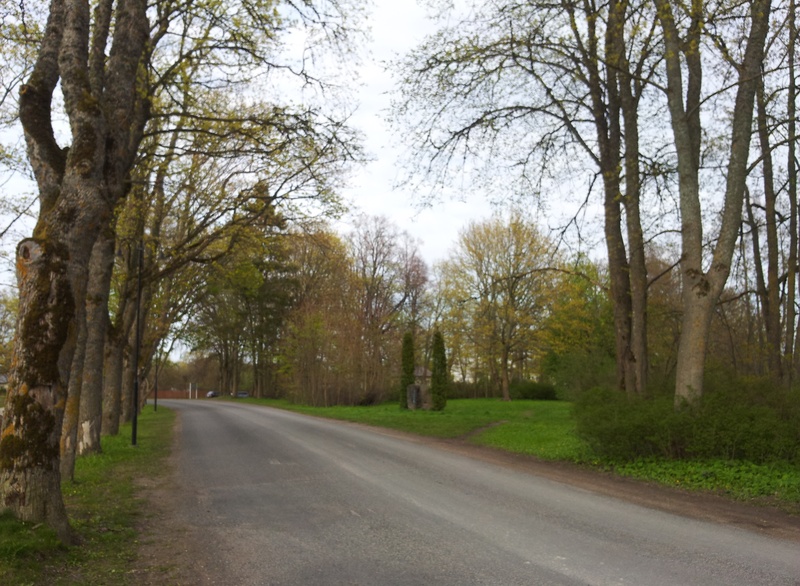 Kuressaare - vaade kahekordsele majale rephoto