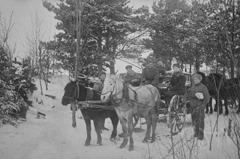 Sõjaväe vooriveok metsas Narva all.