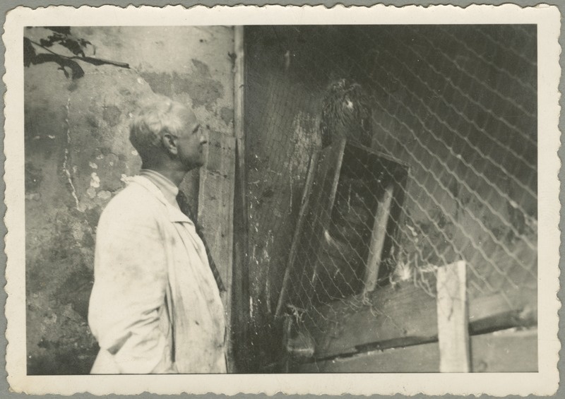 Johannes Greenberg loomaaias