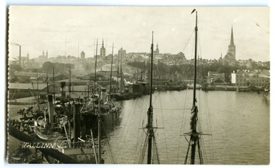 View of Tallinn from the port pool  duplicate photo