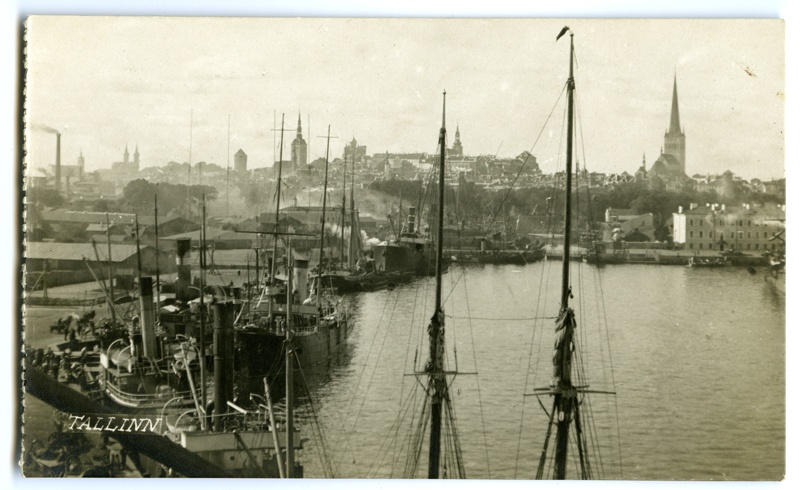 View of Tallinn from the port pool