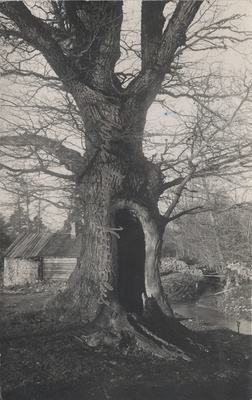 Sacrifice Hairdresser  duplicate photo