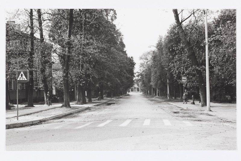 Tartu, Heidemanni tänav.