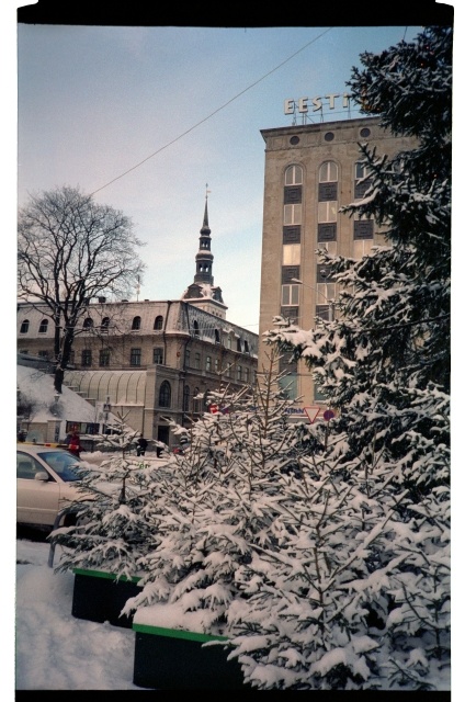 Christmas Eve in the Freedom Square in Tallinn