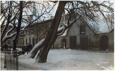 Tallinn, Toompea, Kiriku plats, pärnad Toomkiriku ees.  duplicate photo