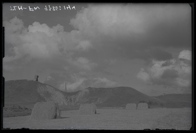 Rakvere, maastikuvaade.  duplicate photo