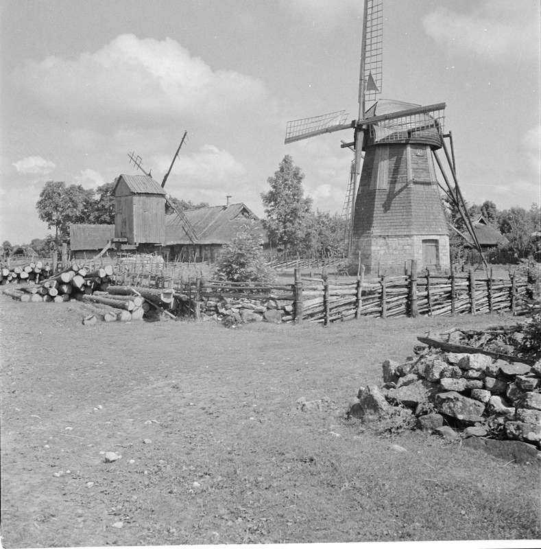 Pukktuulikud Saaremaal
