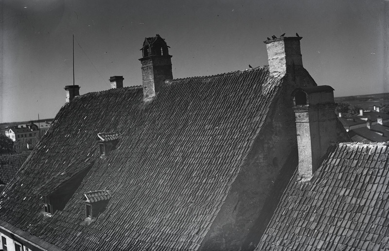 Vaade katusele: linnud katusel